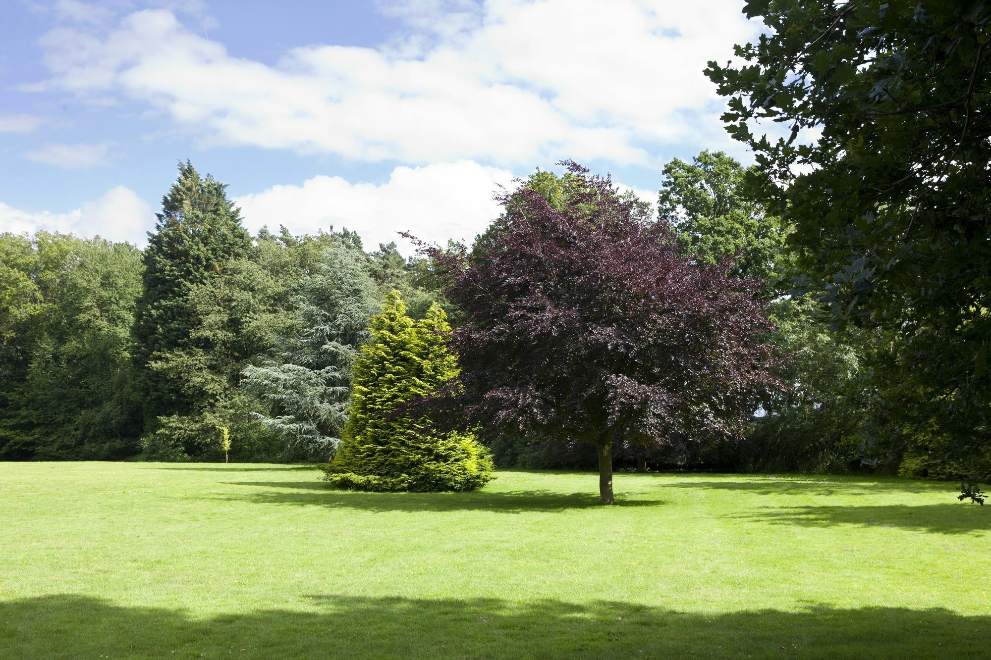 Audleys Wood Hotel, Basingstoke Exterior foto